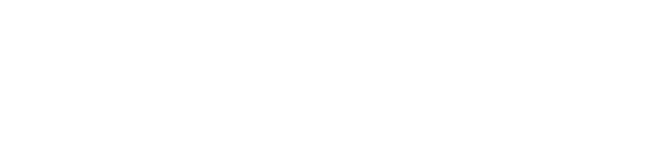 S K L E D A R